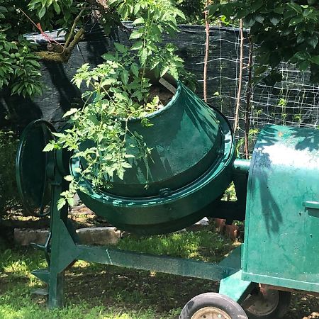 Borgo Ticino Un Bell Incontro 아파트 외부 사진