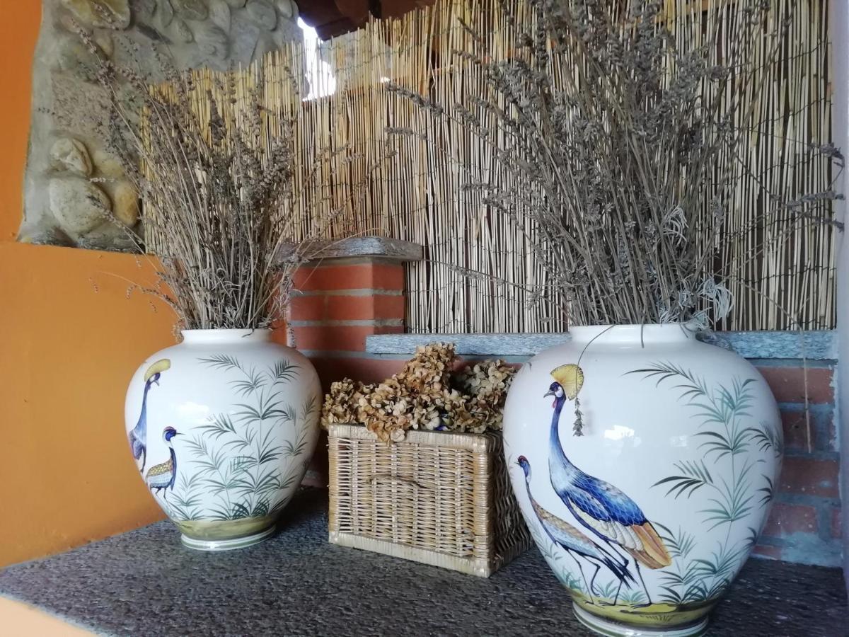 Borgo Ticino Un Bell Incontro 아파트 외부 사진